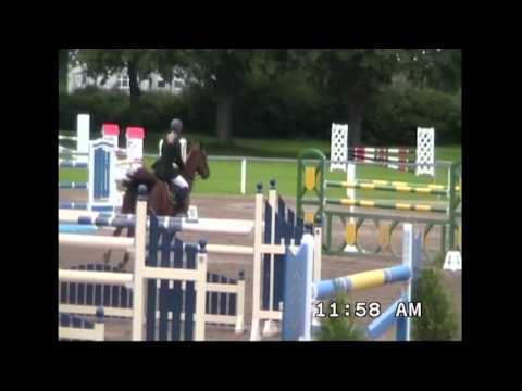 BLM Sport Horses - 3yr Old Son Of Legendary Show Jumper – Baloubet Du Rouet
