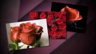 Rote Rosen schenk ich dir - Ricky Berger