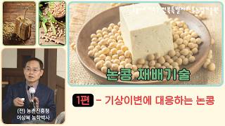 [논콩 1강] "올해 콩 농사 망치기 싫다면? 기상이변 이겨내는 논콩 재배 핵심 전략" #논콩 #콩농사 #전…