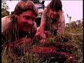 Travelling The Dingo Fence Part 1 The Crocodile Hunter S01E06