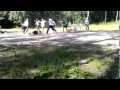 funny video The guy in the blue shirt all vystegnul ...