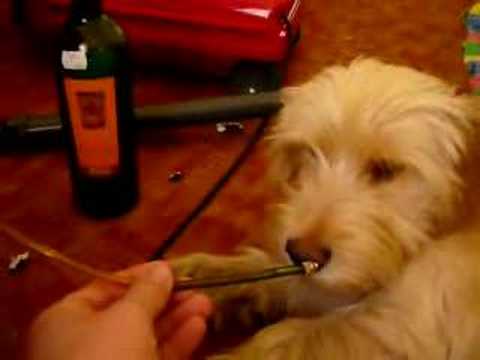 Ricardo and the marihuana! :-)