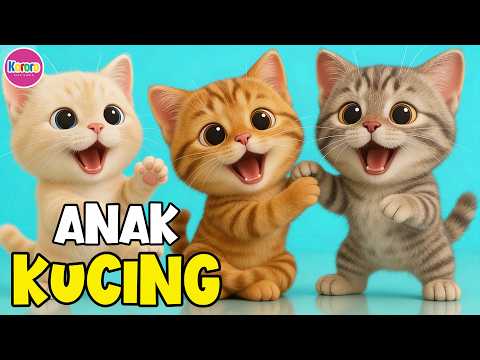 Kompilasi Lagu Anak - ANAK KUCING MEONG MEONG, Si Kancil , Menanam Jagung Dan Lagu Anak Lainnya