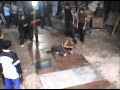 Tony Jaa Training For ONG BAK