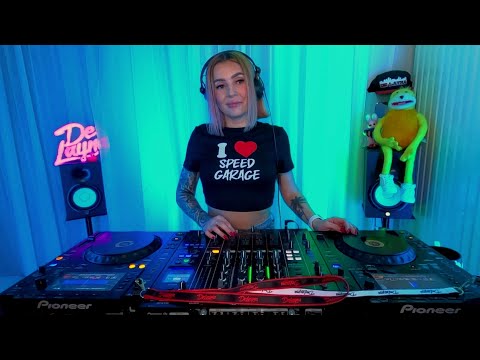 UK GARAGE & BASSLINE MIX 2025 #2