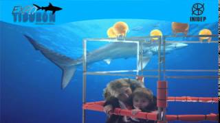 DIA 2 Expo Tiburon13