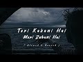 Teri Kahani Hai Meri Zubani Hai Lo Fi Song Roxen Mustafa Siraj Slowed And Reverb Song