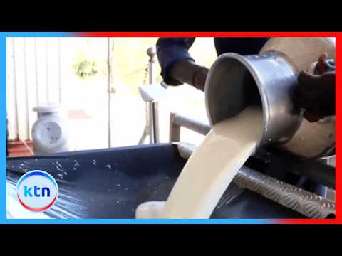 Milk processors warn supermarkets against hiking prices