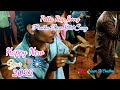 Mobile 4k Video 2022 Petta Rap Song Ultimate Mass Dance