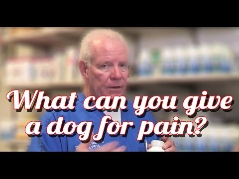 YouTube video about: Will a and d ointment hurt my dog?
