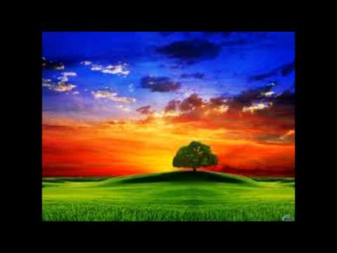 Sista Lilia - Victimes du systeme