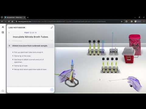 Pearson Interactive Labs | Biochemical Tests: Gram Negative