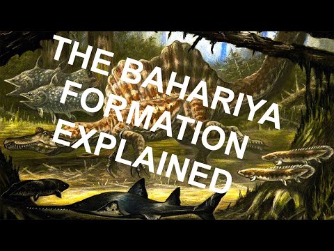The Bahariya Formation Explained