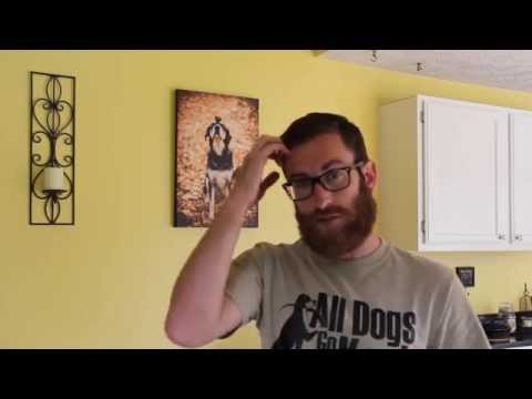 How Do I Get My Dog To Stop Begging?