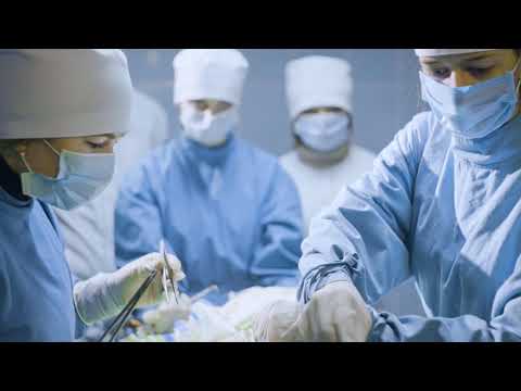 PIPETTE TIP - K2019 - PLASTISUD - DEMAG