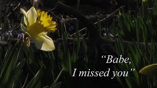 Download lagu Boyfriend Finds You Sleeping on the Couch | [M4A] [Sleep Aid] [Comfort] [Work Trip][ASMR][Boyfriend] mp3