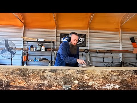 How I Get Big Money Slabs Out Of Rotted Logs $$$$