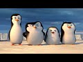 Penguins Of Madagascar Antarctica Clip DreamWorks Animation HD Animation Short Film