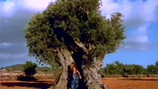 Sandra - Heaven Can Wait