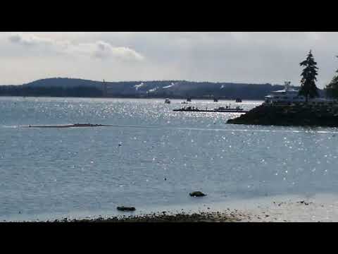 Nanaimo, BC - Yacht Club