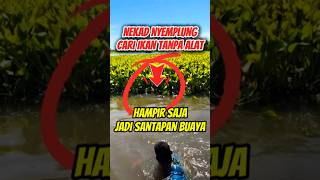 Download lagu Almost Becomes Crocodile Food 🐊 #fishing #swampfishing #fishing #fishingmania #crocodile #fish #f... mp3