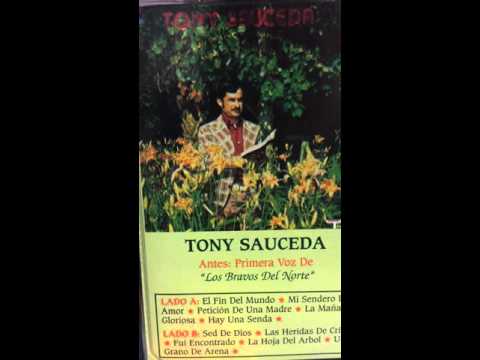 Un Grano De Arena - Tony  Sauceda