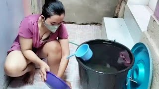 Download lagu Salsa Camping Tv‼️Women Beautiful village cooking traditional vegetables mp3