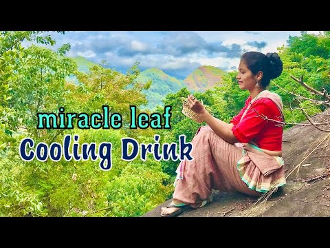 Villager's healthy drink | Divine medicine for kidney stones | Traditional cooling drink | Akkapaana