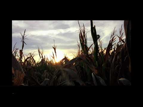 What Lies Beyond the Cornfields? (Walkabouter’sGuide) #181