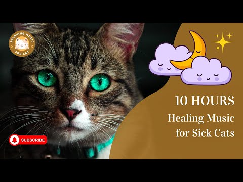 Healing Music for Sick Cats 10 Hours 🐾 Relaxing Music for Cat