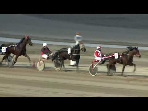 2017.03.04. 8. futam - BOB HENDIKEP