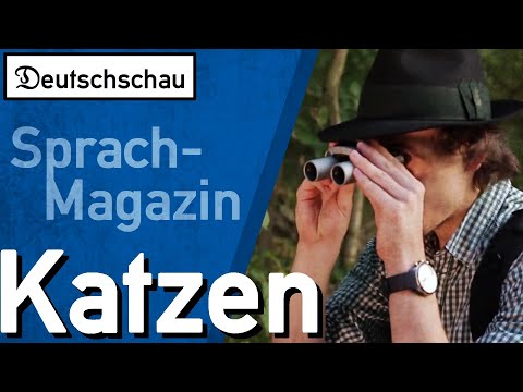 Auf Katzenjagd – Deutschschau (Folge 6)