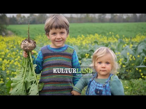 SoLawi Hall - Kampagnenfilm