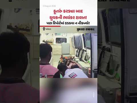 Vadodara માં કૂતરું કરડ્યા બાદ યુવકની ભયંકર હાલત! પણ રિપોર્ટમાં હડકવા ન નીકળ્યો! | Gujarat Samachar Vadodara માં કૂતરું કરડ્યા બાદ યુવકની ભયંકર હાલત! પણ રિપોર્ટમાં હડકવા ન નીકળ્યો! | Gujarat Samachar