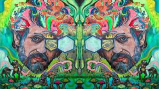 The Light In Nature (Terence McKenna) [FULL]