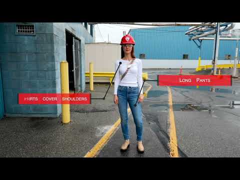 Lorray Digital Video video.