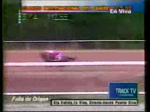 Clasico del Caribe 2003