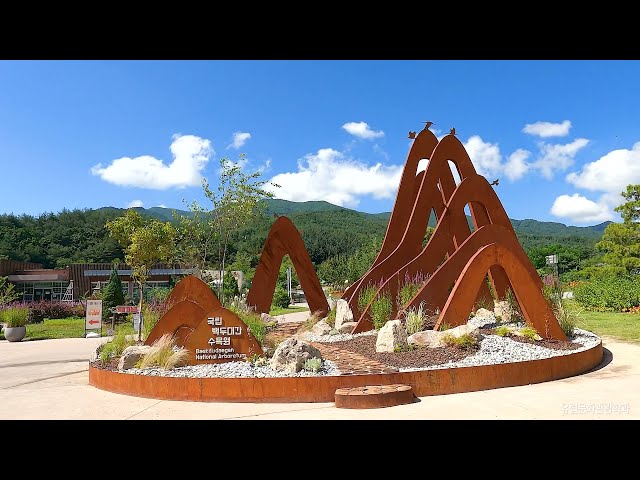 [2021 LINC+] 국립백두대간 수목원 관광 홍보 영상 - 2편