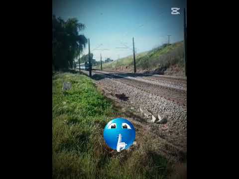 edit biotren y UT 440 en Talcahuano y puente bio-bio