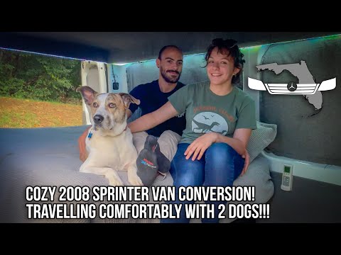 Cozy Sprinter Van Conversion! Traveling w/ 2 dogs in a Small Sprinter!