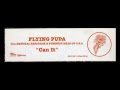 Flying Pupa feat. Natural Resource & Pumpkinhed ...