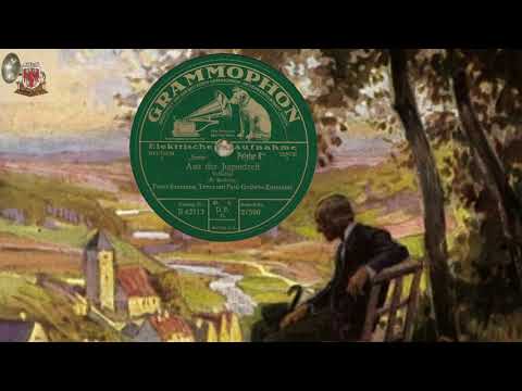 AUS DER JUGENDZEIT - Franz Baumann u. P. Godwin Ensemble