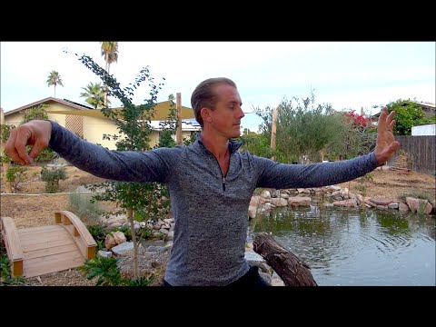 Yang Style Tai Chi for Beginners - Section 1