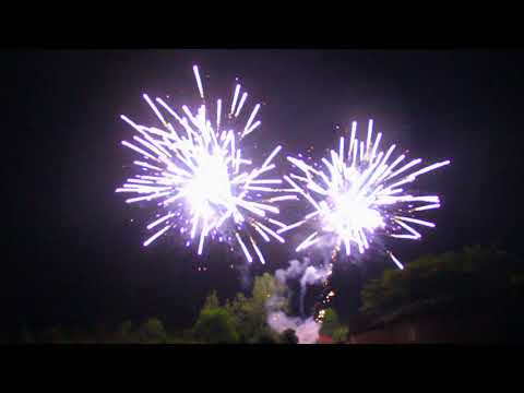 SCF9902 - 100s 30mm Silver Coco w Blue Star & Silver Fish w Blue Star