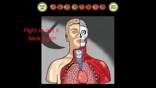 The Fixer by Pearl Jam (Lyrics and Meaning)