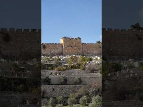 Tierra Santa con el Pastor Álvaro Palacios desde Israel #biblia #lsrael