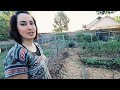 The ONE ACRE Micro Farm Anyone Could Do Feat Weed Em And Reap