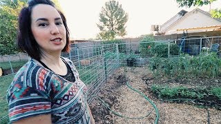 the ONE ACRE micro Farm | Anyone could do