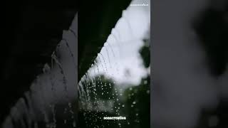 Download lagu Kannale Kannale•Tamil•Cover•Whatsapp status • Thani Oruvan • SonaCreation mp3