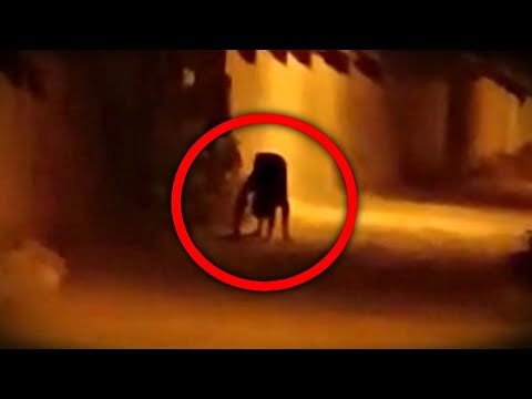 Top 5 Scary Videos That Will MESS YOU UP!